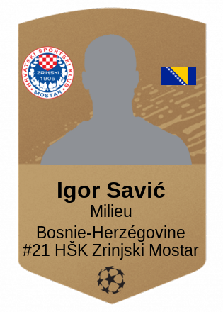 Igor Savić