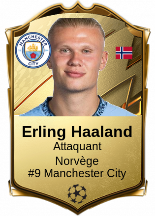Erling Haaland