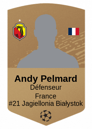 Andy Pelmard
