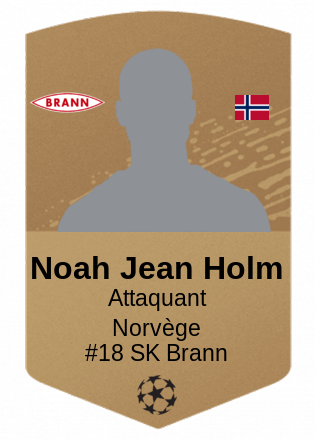Noah Jean Holm