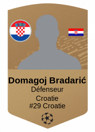 Domagoj Bradarić