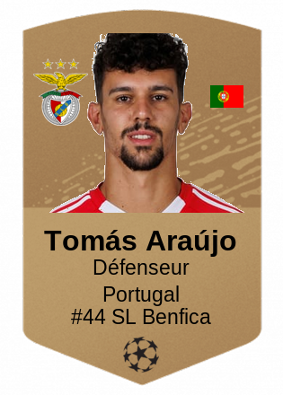 Tomás Araújo