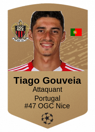 Tiago Gouveia