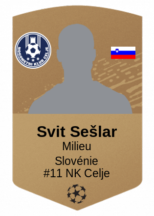 Svit Sešlar