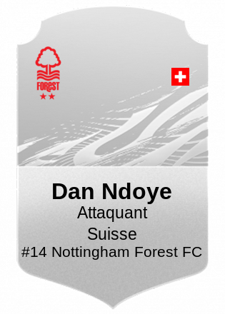 Dan Ndoye