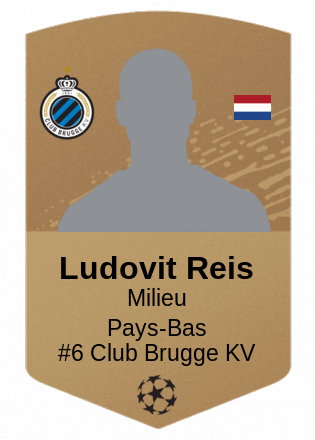 Ludovit Reis