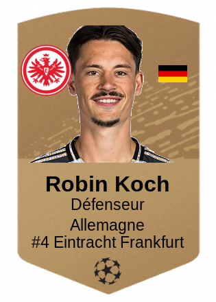 Robin Koch