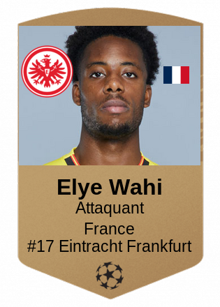 Elye Wahi