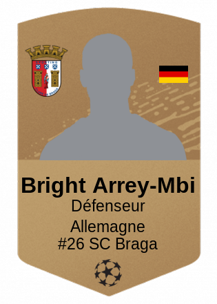 Bright Arrey-Mbi