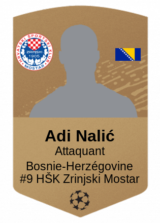Adi Nalić