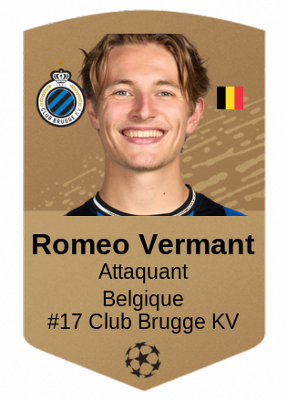 Romeo Vermant