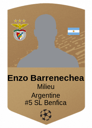 Enzo Barrenechea