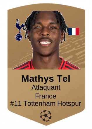 Mathys Tel