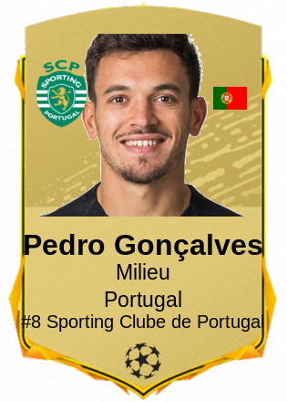 Pedro Gonçalves