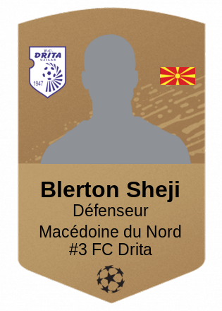 Blerton Sheji
