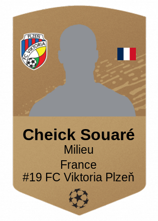 Cheick Souaré