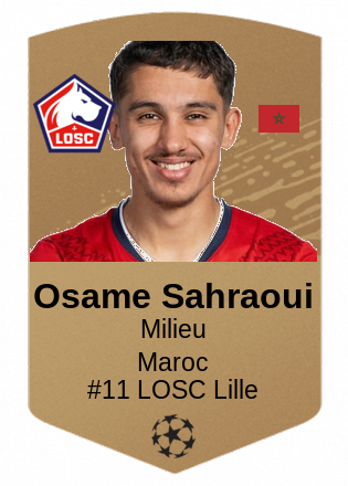 Osame Sahraoui