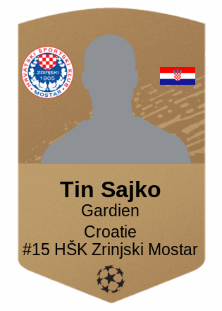 Tin Sajko
