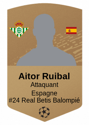 Aitor Ruibal
