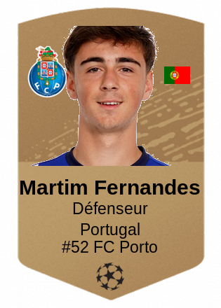 Martim Fernandes