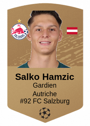 Salko Hamzic
