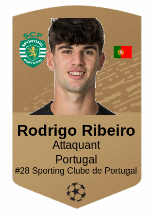 Rodrigo Ribeiro