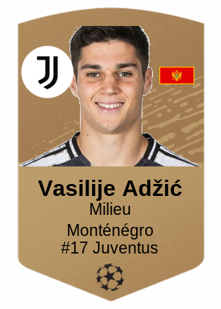 Vasilije Adžić
