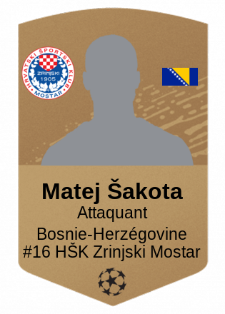 Matej Šakota