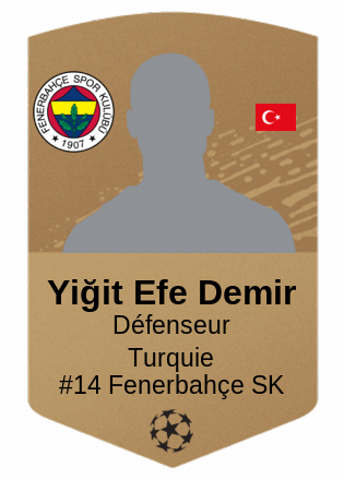 Yiğit Efe Demir