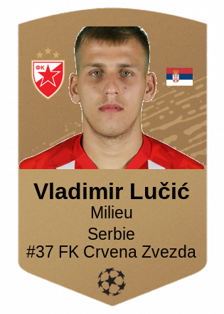 Vladimir Lučić