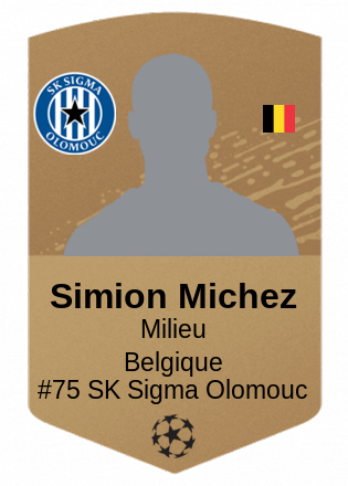 Simion Michez