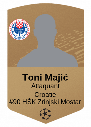 Toni Majić