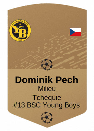 Dominik Pech