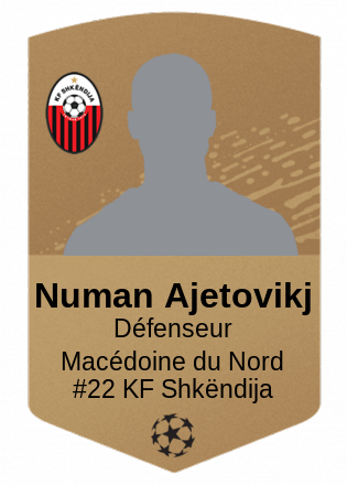 Numan Ajetovikj