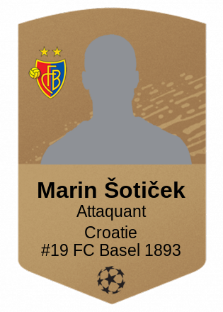 Marin Šotiček