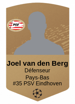 Joel van den Berg