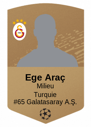 Ege Araç