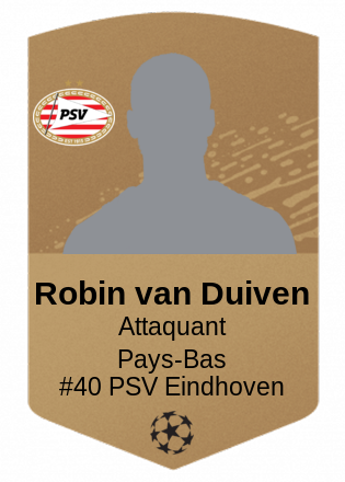 Robin van Duiven