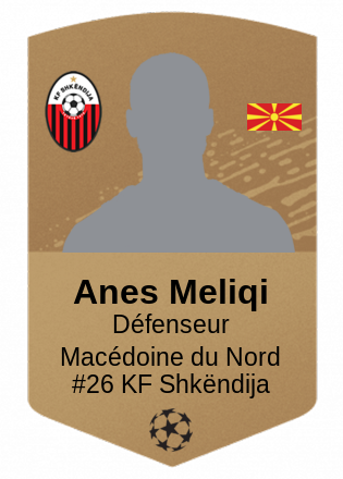 Anes Meliqi