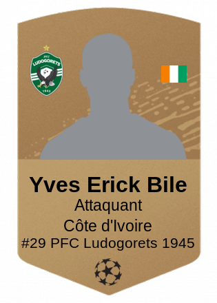 Yves Erick Bile
