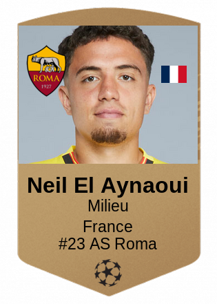 Neil El Aynaoui