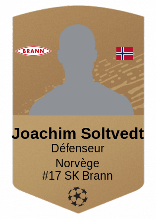 Joachim Soltvedt