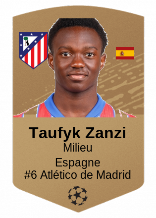Taufyk Zanzi