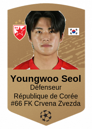 Youngwoo Seol