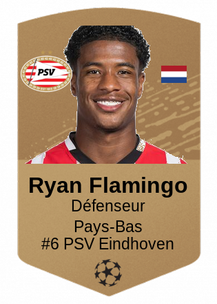 Ryan Flamingo