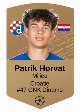 Patrik Horvat