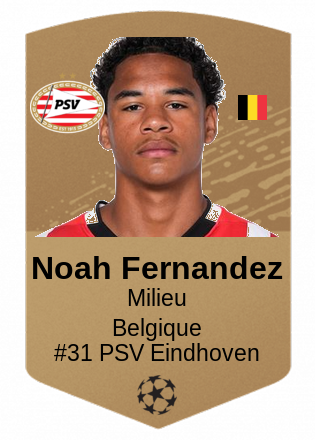 Noah Fernandez