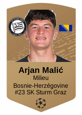 Arjan Malić
