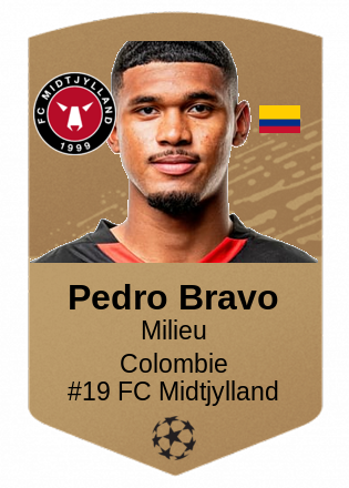 Pedro Bravo