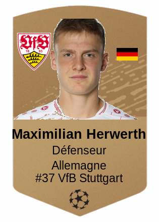 Maximilian Herwerth